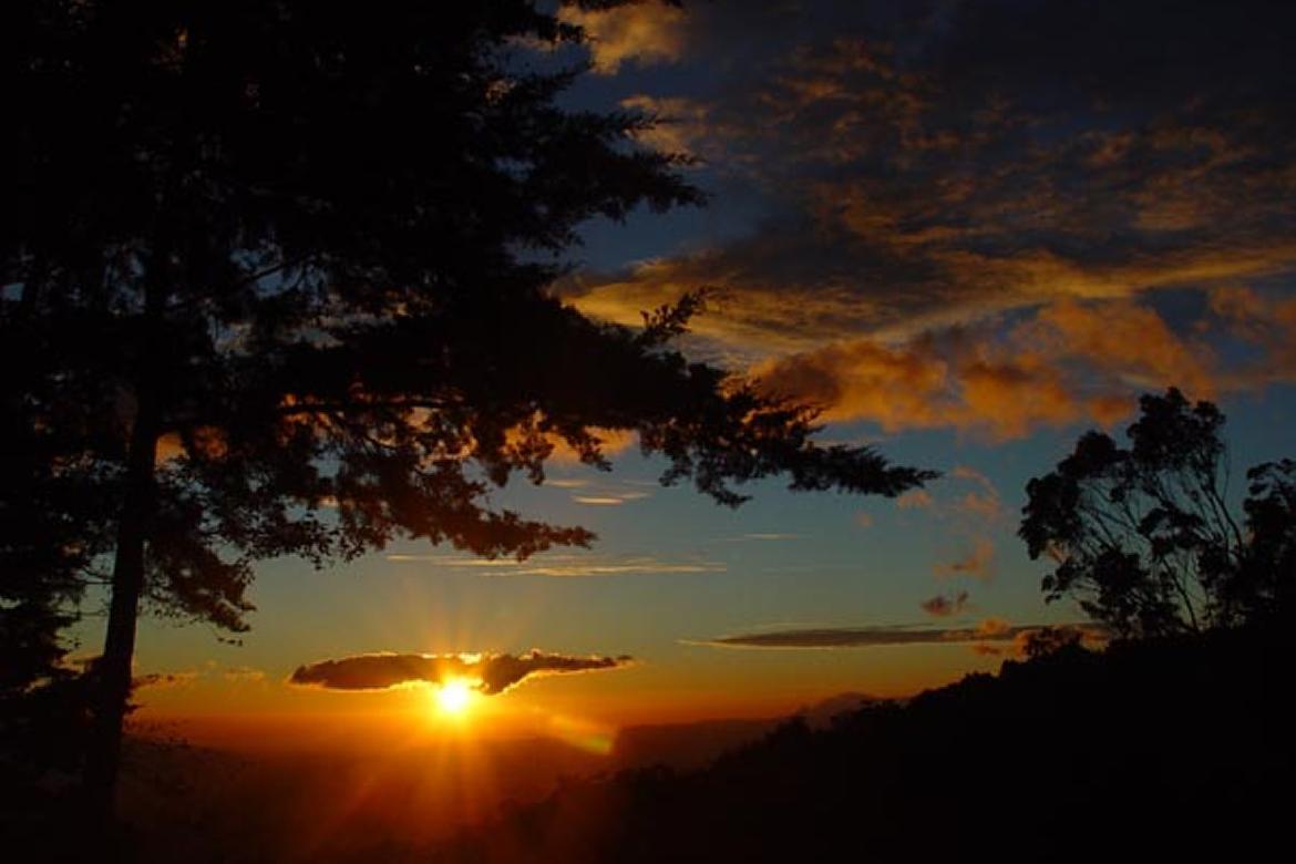 WT Costa Rica 2025 Oct 27-Nov 7 Tropical Adventure!