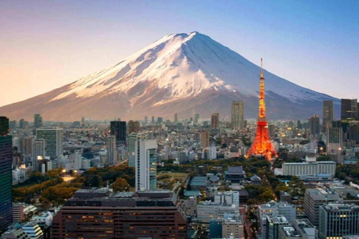 WT Japan 2025 Nov 2-16