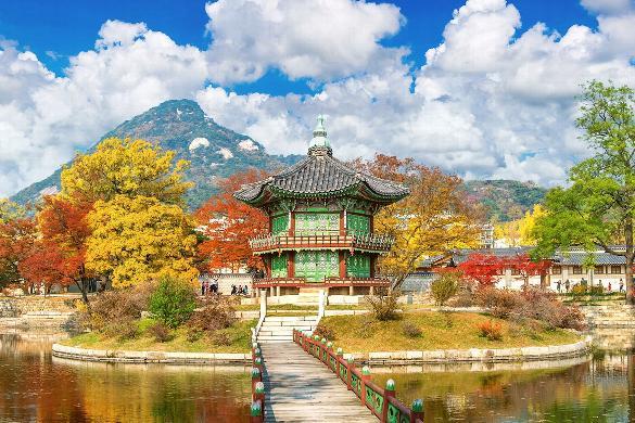 SF South Korea 2026