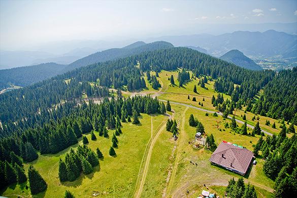 Bulgaria Special Project