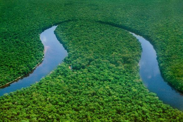Democratic Republic of Congo Project